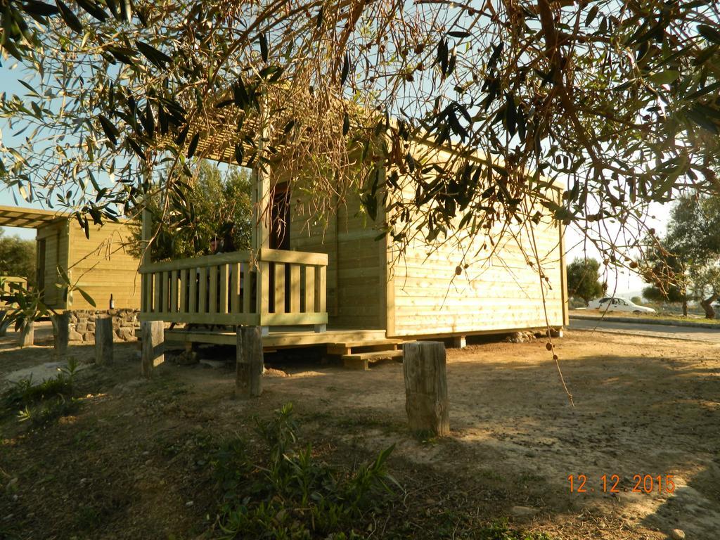 Tajo Del Aguila - Casa Rural A Algar  Ruang foto